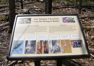 Mighty Chestnut Exhibit
