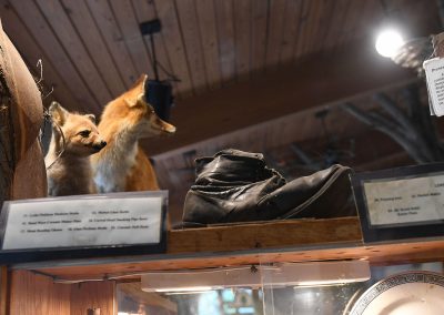 Nature Display with Fox & Boot