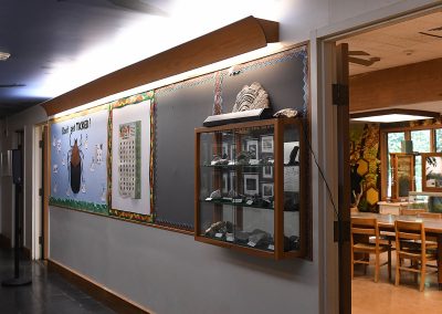 Display Hall Animal Room