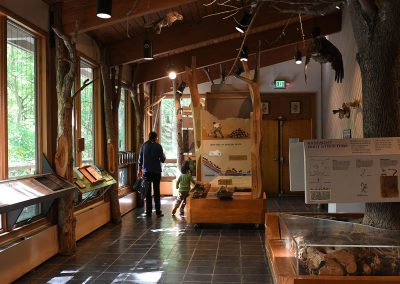 Main Room