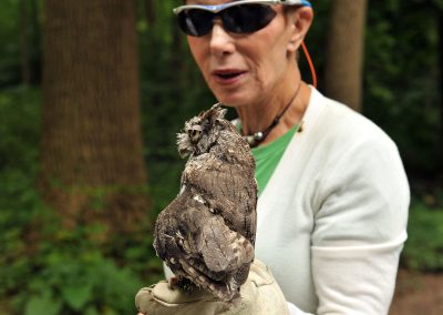 woman with an owl on her hand