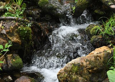 Stream Oregon Ridge