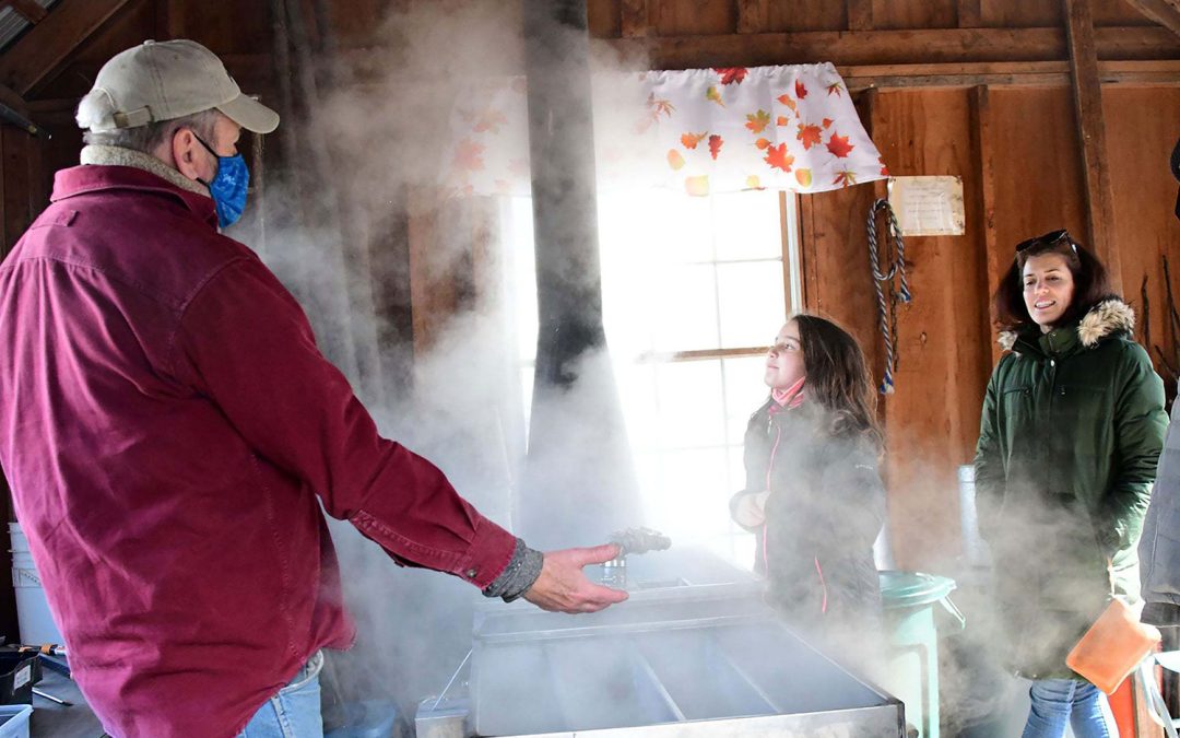 making maple syrup