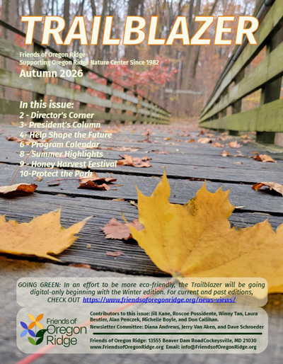 trailblazer summer trailblazer cover