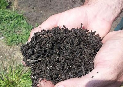 compost in hand