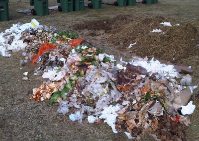 compost pile