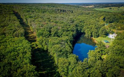 Oregon Ridge Master Plan