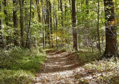 Oregon Ridge Park