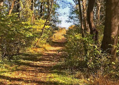 Oregon Ridge Park