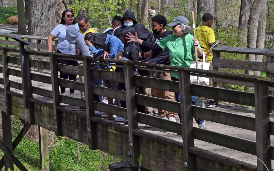 children's field trips