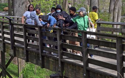 Children’s Education At Oregon Ridge Park