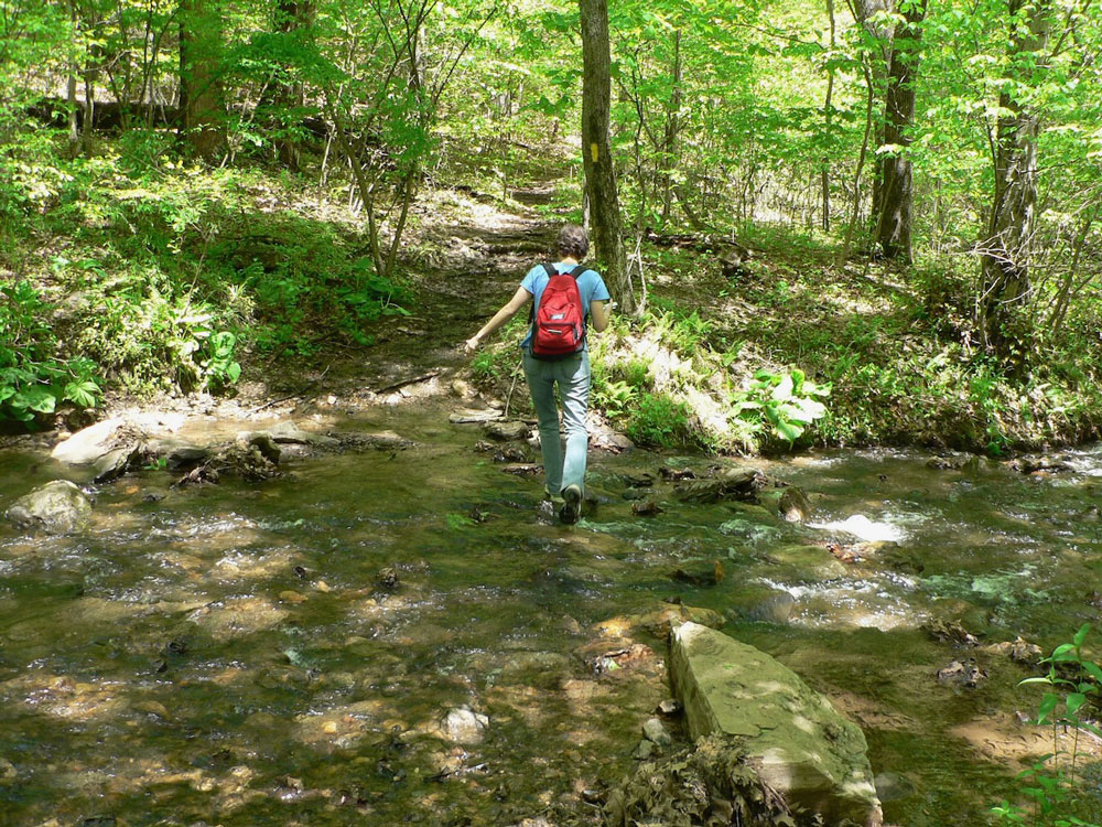 Oregon Ridge Park’s network of trails take you through forest, field ...