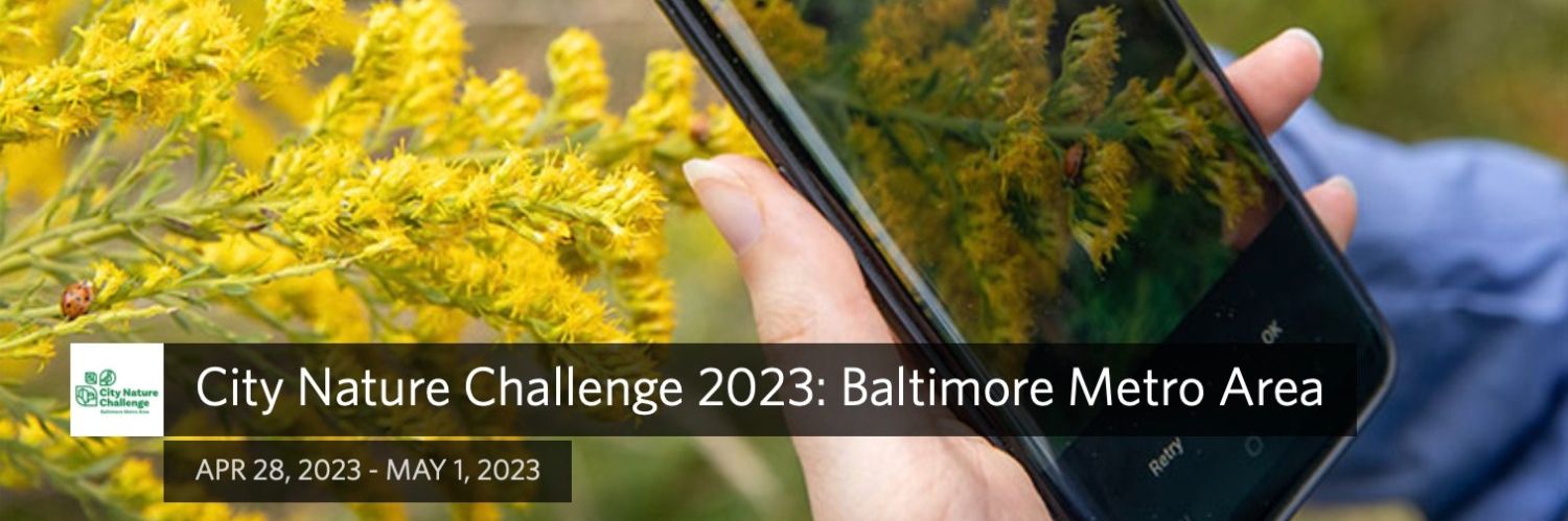 Oregon Ridge City Nature Challenge 2023